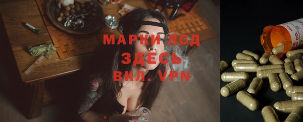 трава Арсеньев