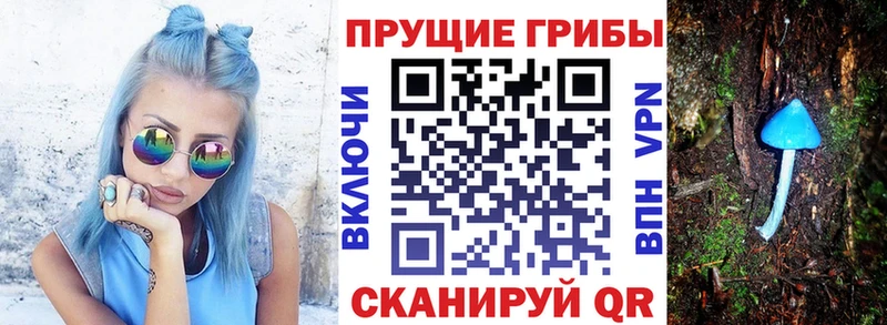 сайты даркнета состав  Жигулёвск  Галлюциногенные грибы прущие грибы 